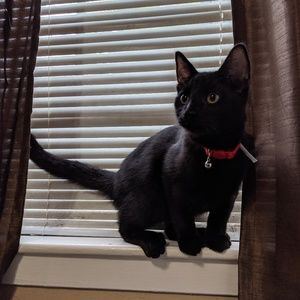 Meet your Posher, Maria